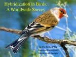 Hybridization in Birds: A Worldwide Survey - slide 1