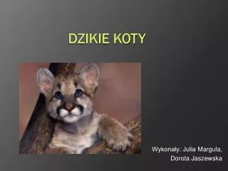 DZIKIE KOTY