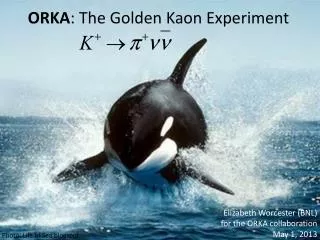 ORKA : The Golden Kaon Experiment