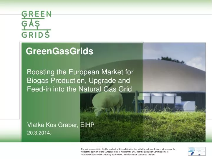 greengasgrids