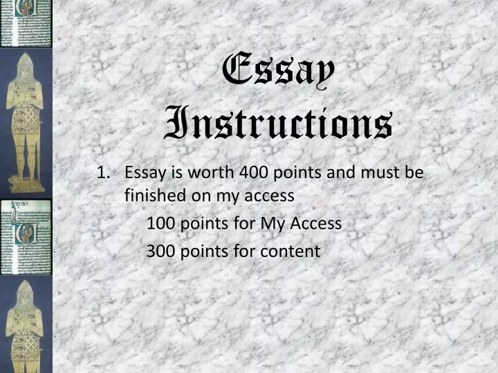 essay instructions