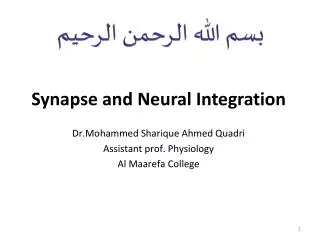 Synapse and N eural Integration