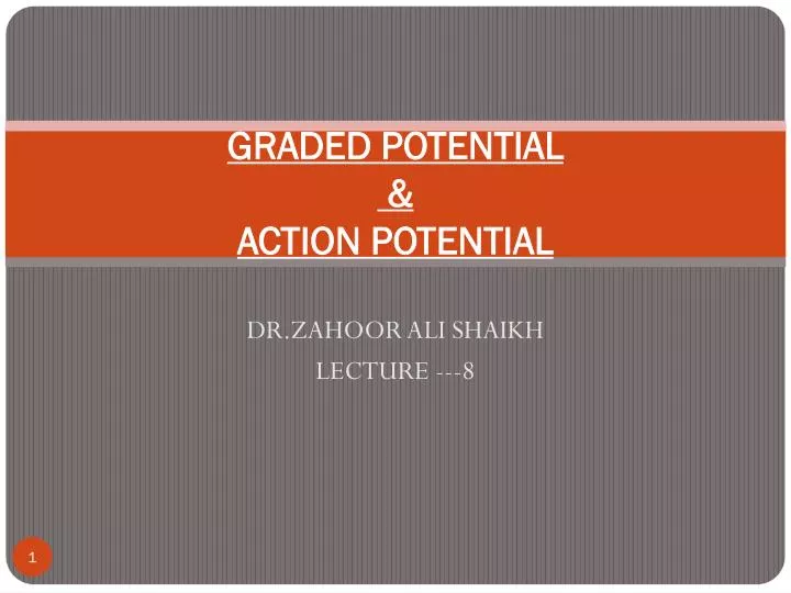 graded potential action potential