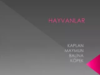 hayvanlar