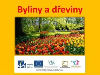 byliny a d eviny