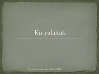 kutyafajt k