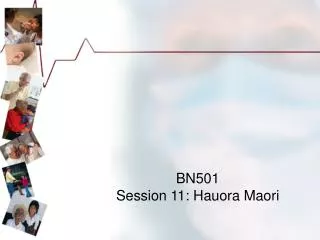 BN501 Session 11 : Hauora Maori