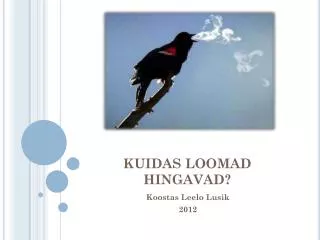 kuidas loomad hingavad