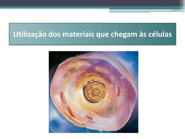 utiliza o dos materiais que chegam s c lulas