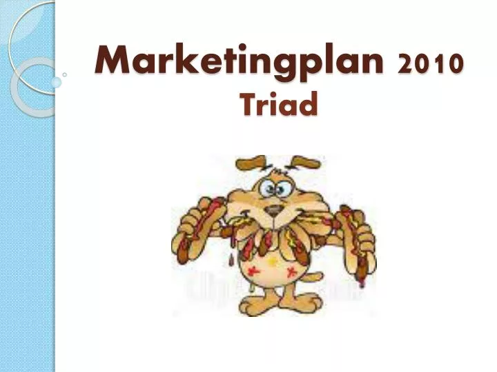 marketingplan 2010 triad