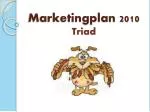 Marketingplan 2010 Triad - slide 1
