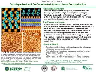 Self-Organized and Cu-Coordinated Surface Linear Polymerization