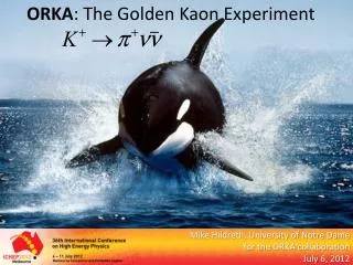ORKA : The Golden Kaon Experiment
