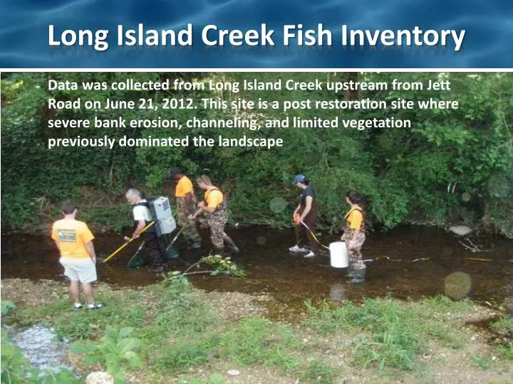 long island creek fish inventory