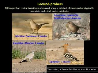 Ground-probers