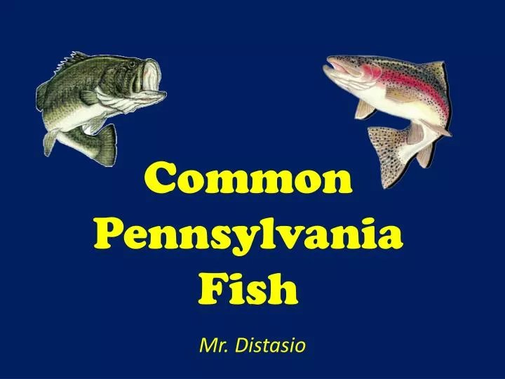 common pennsylvania fish