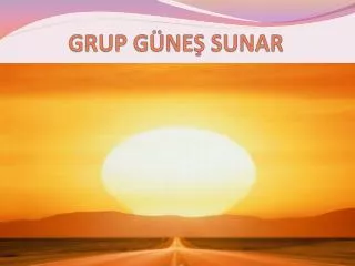 grup g ne sunar