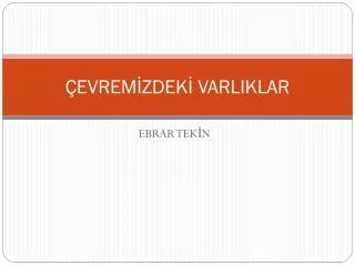 evrem zdek varliklar