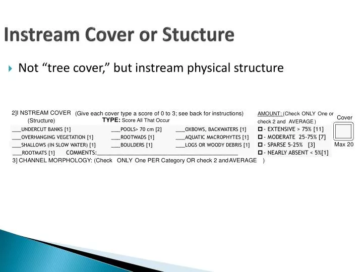 instream cover or stucture