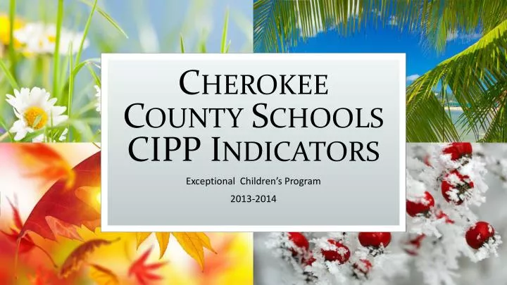 cherokee county schools cipp indicators