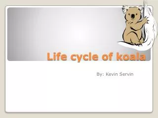 Life cycle of koala