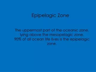 Epipelagic Zone