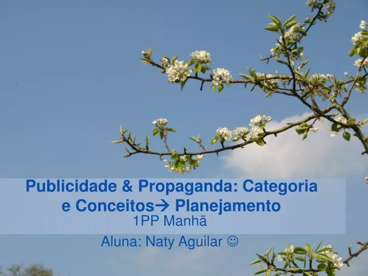 publicidade propaganda categoria e conceitos planejamento