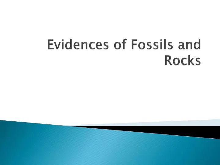 evidences of fossils and rocks