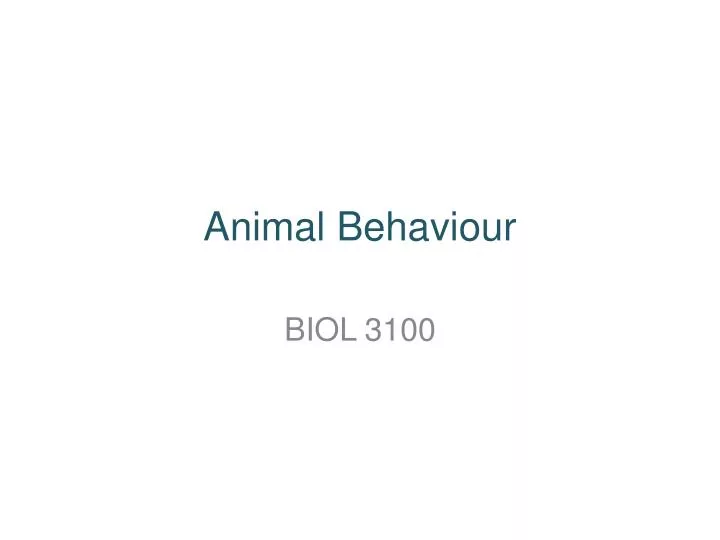 animal behaviour