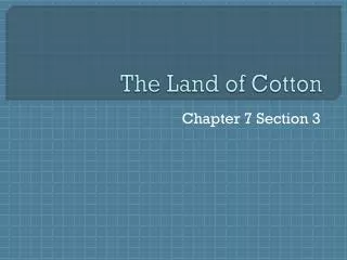 The Land of Cotton