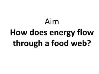 Aim How does energy flow through a food web?