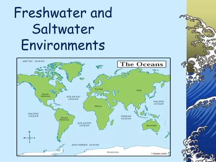 freshwater and saltwater environments