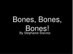 Bones, Bones, Bones! - slide 1