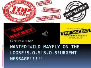 WANTED!WILD MAYFLY ON THE LOOSE!S.O.S!S.O.S!URGENT MESSAGE!!!!!