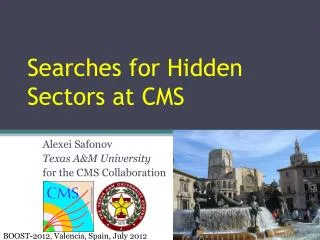 Searches for Hidden Sectors at CMS