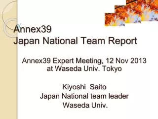 Annex39 Japan National Team Report