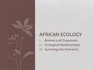 African ecology