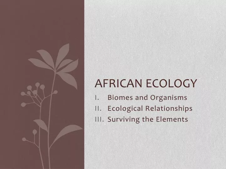 african ecology
