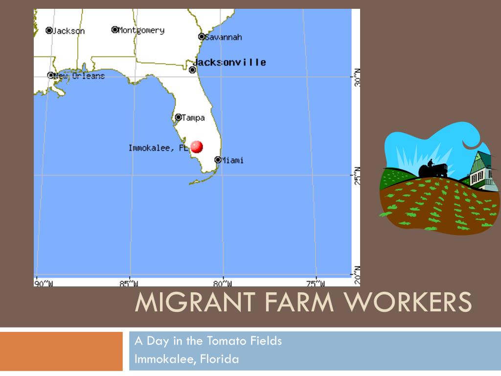 PPT - Migrant Farm Workers PowerPoint Presentation, free download - ID ...