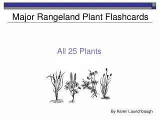 Major Rangeland Plant Flashcards