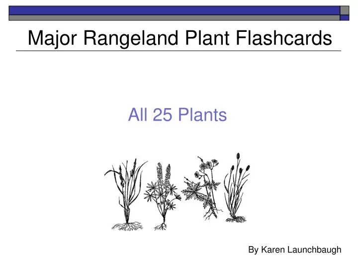 major rangeland plant flashcards