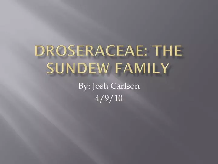 droseraceae the sundew family