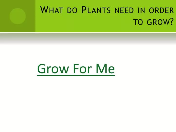 what do plants need in order to grow