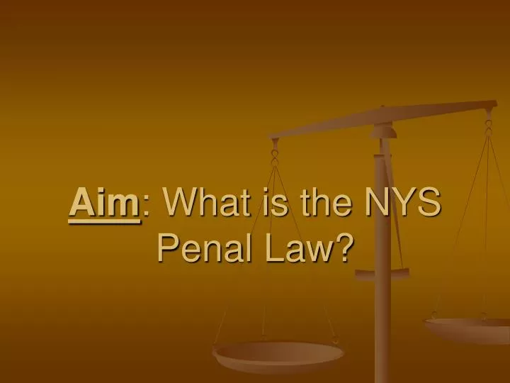 aim what is the nys penal law