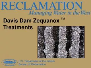 Davis Dam Zequanox TM Treatments