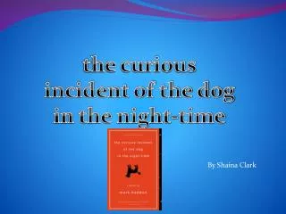 t he curious incident of the dog in the night-time