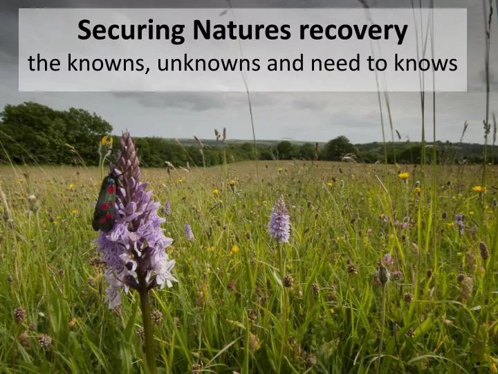 securing natures recovery the knowns unknowns and need to knows