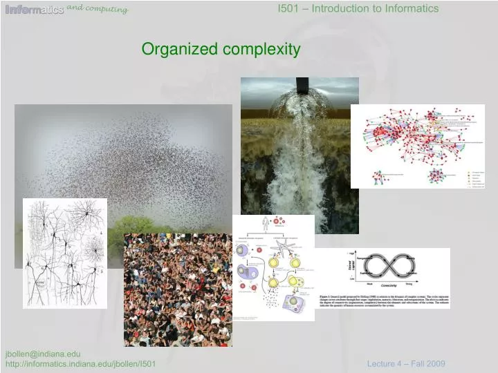 organized complexity