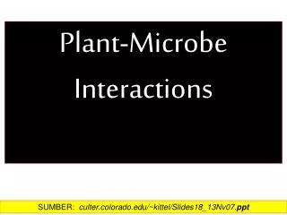 Plant-Microbe Interactions