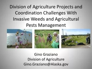 Gino Graziano Division of Agriculture Gino.Graziano@Alaska.gov